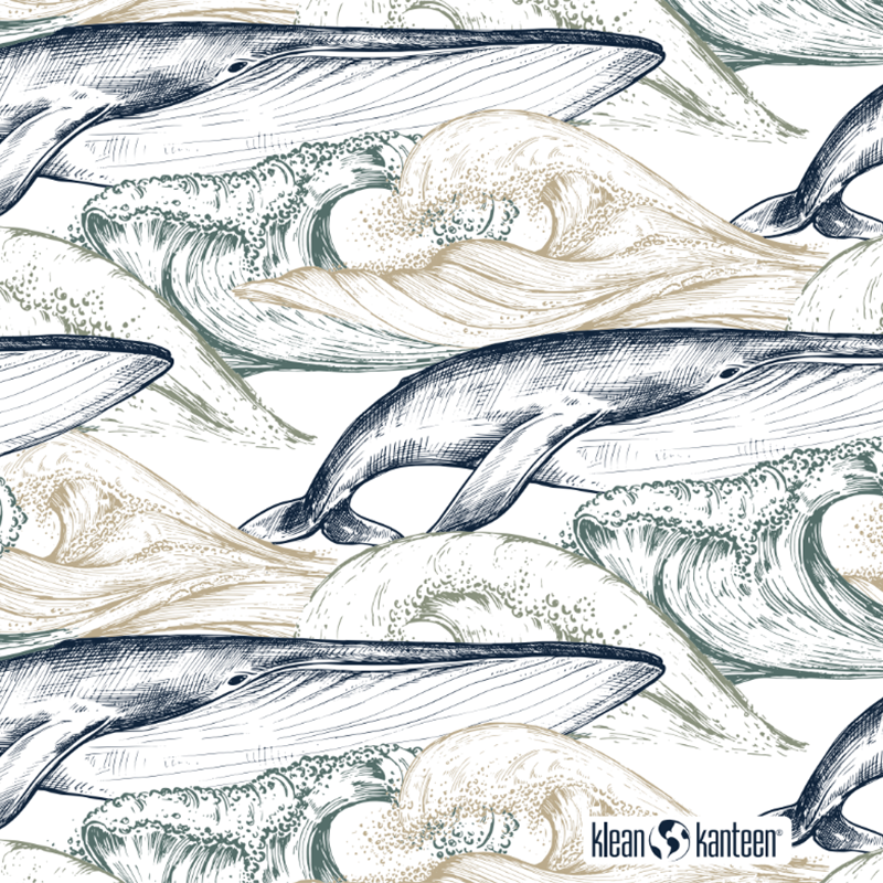 20oz-tkwide-with-twist-cap-ocean-day-c5 20oz_tkwide_bottle_seasonal_ocean_day_whale_artwork_square.png