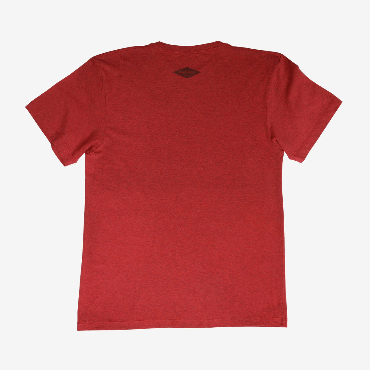 backyard-t-shirt-k2 Shirt_Mtn_Back.jpg